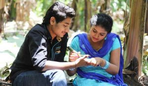 Sairat-Box-Office-Collection-2