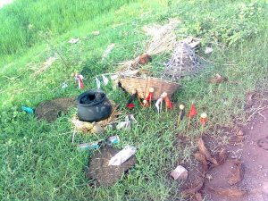 The site of Mahishasur worship in a field in a Chhattisgarh village